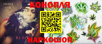 стафф Бийск