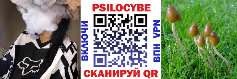 Псилоцибиновые грибы мицелий  купить   Аргун 