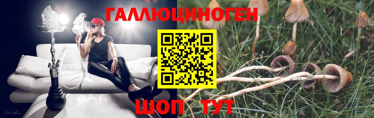 Аргун  Галлюциногенные грибы мухоморы  Вход с VPN 